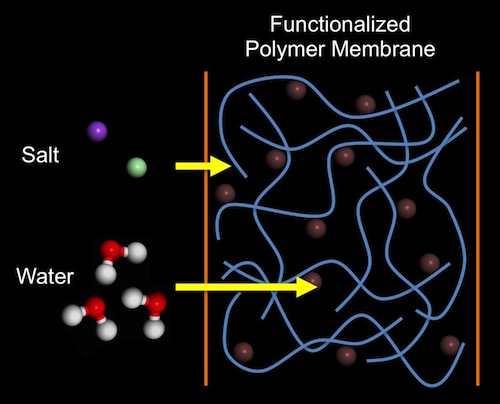 membrane diagram